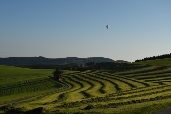 Gemaehte Wiese - (c) R Herling.jpg